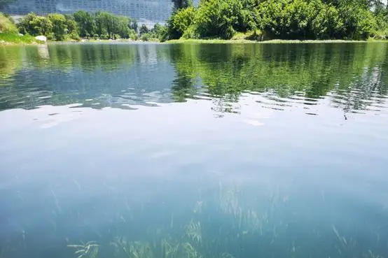 水生態系統構建技術