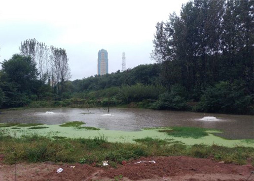 湖南長(zhǎng)沙河流黑臭水處理項(xiàng)目